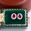 Bông tai bạc đính đá Garnet oval mặt trời